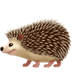 :hedgehog: :hedgehog: