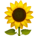 :sunflower: :sunflower: